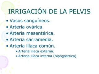 IRRIGACIÓN DE LA PELVIS
• Vasos sanguíneos.
• Arteria ovárica.
• Arteria mesentérica.
• Arteria sacramedia.
• Arteria ilíaca común.
• Arteria ilíaca externa.
• Arteria ilíaca interna (hipogástrica)
 
