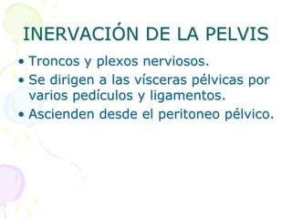 INERVACIÓN DE LA PELVIS
• Troncos y plexos nerviosos.
• Se dirigen a las vísceras pélvicas por
varios pedículos y ligamentos.
• Ascienden desde el peritoneo pélvico.
 