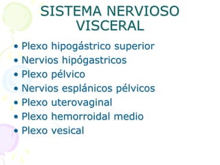 SISTEMA NERVIOSO
VISCERAL
• Plexo hipogástrico superior
• Nervios hipógastricos
• Plexo pélvico
• Nervios esplánicos pélvicos
• Plexo uterovaginal
• Plexo hemorroidal medio
• Plexo vesical
 