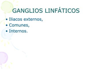 GANGLIOS LINFÁTICOS
• Iliacos externos,
• Comunes,
• Internos.
 