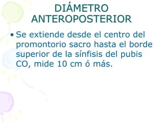 DIÁMETRO
ANTEROPOSTERIOR
• Se extiende desde el centro del
promontorio sacro hasta el borde
superior de la sínfisis del pubis
CO, mide 10 cm ó más.
 