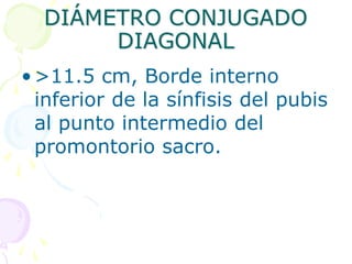 DIÁMETRO CONJUGADO
DIAGONAL
•>11.5 cm, Borde interno
inferior de la sínfisis del pubis
al punto intermedio del
promontorio sacro.
 