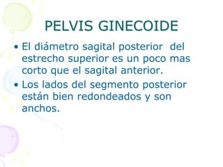 PELVIS GINECOIDE
• El diámetro sagital posterior del
estrecho superior es un poco mas
corto que el sagital anterior.
• Los lados del segmento posterior
están bien redondeados y son
anchos.
 