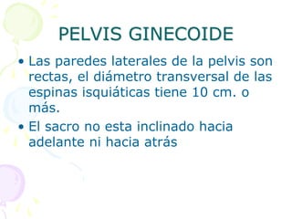 PELVIS GINECOIDE
• Las paredes laterales de la pelvis son
rectas, el diámetro transversal de las
espinas isquiáticas tiene 10 cm. o
más.
• El sacro no esta inclinado hacia
adelante ni hacia atrás
 
