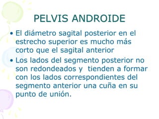 PELVIS ANDROIDE
• El diámetro sagital posterior en el
estrecho superior es mucho más
corto que el sagital anterior
• Los lados del segmento posterior no
son redondeados y tienden a formar
con los lados correspondientes del
segmento anterior una cuña en su
punto de unión.
 
