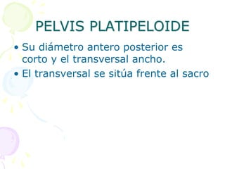 PELVIS PLATIPELOIDE
• Su diámetro antero posterior es
corto y el transversal ancho.
• El transversal se sitúa frente al sacro
 