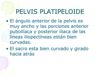 PELVIS PLATIPELOIDE
• El ángulo anterior de la pelvis es
muy ancho y las porciones anterior
puboilíaca y posterior iliaca de las
líneas iliopectíneas están bien
curvadas.
• El sacro esta bien curvado y girado
hacia atrás
 