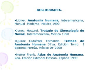 BIBLIOGRAFIA.
•Lidner. Anatomía humana, interamericana,
Manual Moderno, México 1990
•Jones, Howard. Tratado de Ginecología de
Novak. Interamericana, México 1990
•Quiroz Gutiérrez Fernando. Tratado de
Anatomía Humana 37va. Edición Tomo I
Editorial Porrúa, México DF 2000
•Netter Frank. Atlas de Anatomía Humana.
2da. Edición Editorial Masson. España 1999
 