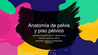 Anatomía de pelvis
y piso pélvico
SERVICIO DE GINECOLOGÍA Y OBSTETRICIA
HOSPITAL GENERAL ISSSTE
MIP MARIA CONSUELO HERNANDEZ
DEOLARTE
 