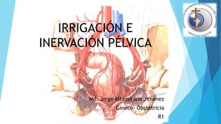IRRIGACIÓN E
INERVACIÓN PÉLVICA
Md. Jorge Altamirano Jiménez
Gineco- Obstetricia
R1
 