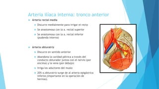 Arteria ilíaca interna: tronco anterior
 Arteria rectal media
 Discurre medialmente para irrigar el recto
 Se anastomosa con la a. rectal superior
 Se anastomosa con la a. rectal inferior
(pudenda interna)
 Arteria obturatriz
 Discurre en sentido anterior
 Abandona la cavidad pélvica a través del
conducto obturador juntos con el nervio (por
encima) y la vena (por debajo)
 Irriga los aductores del muslo
 20% a.obturatriz surge de al arteria epigástrica
inferior.(importante en la operación de
hernias).
 