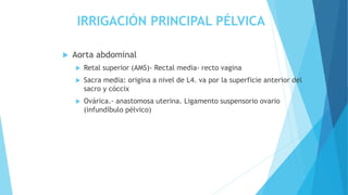 IRRIGACIÓN PRINCIPAL PÉLVICA
 Aorta abdominal
 Retal superior (AMS)- Rectal media- recto vagina
 Sacra media: origina a nivel de L4. va por la superficie anterior del
sacro y cóccix
 Ovárica.- anastomosa uterina. Ligamento suspensorio ovario
(infundíbulo pélvico)
 