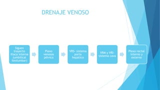 DRENAJE VENOSO
Siguen
trayecto
iliaca interna
(umbilical
ileolumbar)
Plexo
venosos
pélvico
VRS- sistema
porta
hepático
VRM y VRI-
sistema cava
Plexo rectal
interno y
externo
 