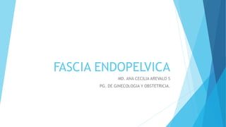 FASCIA ENDOPELVICA
MD. ANA CECILIA AREVALO S
PG. DE GINECOLOGIA Y OBSTETRICIA.
 