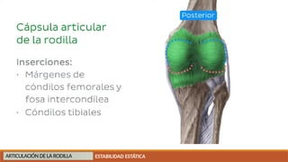 ANATOMIA DE RODILLA anatomia clinica de lesion | PPTX
