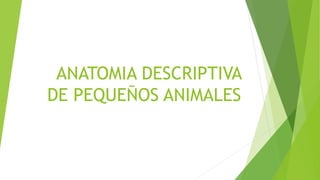 ANATOMIA DESCRIPTIVA
DE PEQUEÑOS ANIMALES
 