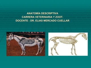 ANATOMÍA DESCRIPTIVA
CARRERA VETERINARIA Y ZOOT.
DOCENTE : DR. ELIAS MERCADO CUELLAR
 