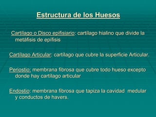 Cartílago o Disco epifisiario: cartílago hialino que divide la
metáfisis de epífisis
Cartílago Articular: cartílago que cubre la superficie Articular.
Periostio: membrana fibrosa que cubre todo hueso excepto
donde hay cartílago articular
Endostio: membrana fibrosa que tapiza la cavidad medular
y conductos de havers.
Estructura de los Huesos
 