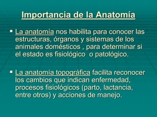 Importancia de la Anatomía
 La anatomía nos habilita para conocer las
estructuras, órganos y sistemas de los
animales domésticos , para determinar si
el estado es fisiológico o patológico.
 La anatomía topográfica facilita reconocer
los cambios que indican enfermedad,
procesos fisiológicos (parto, lactancia,
entre otros) y acciones de manejo.
 