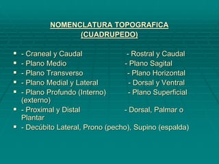 NOMENCLATURA TOPOGRAFICA
(CUADRUPEDO)
 - Craneal y Caudal - Rostral y Caudal
 - Plano Medio - Plano Sagital
 - Plano Transverso - Plano Horizontal
 - Plano Medial y Lateral - Dorsal y Ventral
 - Plano Profundo (Interno) - Plano Superficial
(externo)
 - Proximal y Distal - Dorsal, Palmar o
Plantar
 - Decúbito Lateral, Prono (pecho), Supino (espalda)
 
