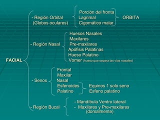 Porción del fronta
- Región Orbital Lagrimal ORBITA
(Globos oculares) Cigomático malar
Huesos Nasales
Maxilares
- Región Nasal Pre-maxilares
Apófisis Palatinas
Hueso Palatino
FACIAL Vomer (hueso que separa las vías nasales)
Frontal
Maxilar
- Senos Nasal
Esfenoides Equinos 1 solo seno
Palatino Esfeno palatino
- Mandíbula Ventro lateral
- Región Bucal - Maxilares y Pre-maxilares
(dorsalmente)
 