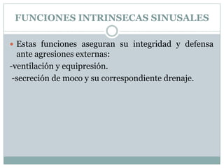 FUNCIONES INTRINSECAS SINUSALES

 Estas funciones aseguran su integridad y defensa
  ante agresiones externas:
-ventilación y equipresión.
 -secreción de moco y su correspondiente drenaje.
 
