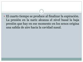  El cuarto tiempo se produce al finalizar la espiración.
 La presión en la nariz alcanza el nivel basal la baja
 presión que hay en ese momento en los senos origina
 una salida de aire hacia la cavidad nasal.
 