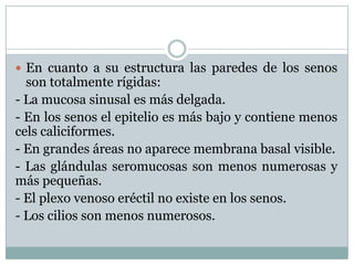  En cuanto a su estructura las paredes de los senos
  son totalmente rígidas:
- La mucosa sinusal es más delgada.
- En los senos el epitelio es más bajo y contiene menos
cels caliciformes.
- En grandes áreas no aparece membrana basal visible.
- Las glándulas seromucosas son menos numerosas y
más pequeñas.
- El plexo venoso eréctil no existe en los senos.
- Los cilios son menos numerosos.
 