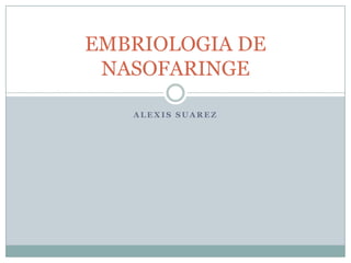 EMBRIOLOGIA DE
 NASOFARINGE

   ALEXIS SUAREZ
 