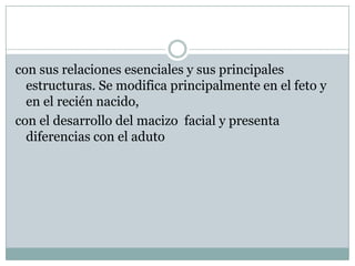 con sus relaciones esenciales y sus principales
  estructuras. Se modifica principalmente en el feto y
  en el recién nacido,
con el desarrollo del macizo facial y presenta
  diferencias con el aduto
 