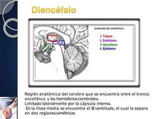 Región anatómica del cerebro que se encuentra entre el tronco
encefálico y los hemisferioscerebrales.
Limitado lateralmente por la cápsula interna.
En la línea media se encuentra el IIIventrículo, el cual lo separa
en dos regionessimétricas
 