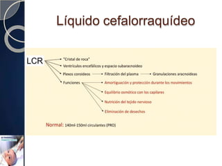 Líquido cefalorraquídeo
 