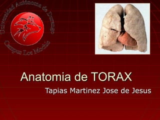 Anatomia de TORAXAnatomia de TORAX
Tapias Martinez Jose de JesusTapias Martinez Jose de Jesus
 