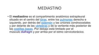 MEDIASTINO
• El mediastino es el compartimento anatómico extrapleural
situado en el centro del tórax, entre los pulmones derecho e
izquierdo, por detrás del esternón y las uniones condrocostales
y por delante de las vértebras y de la vertiente más posterior de
las costillas óseas. Por debajo está limitado por el
músculo diafragm y por arriba por el istmo cervicotorácico.
 
