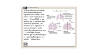 Anatomia de torax r1.