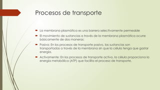 Procesos de transporte
 La membrana plasmática es una barrera selectivamente permeable
 El movimiento de sustancias a través de la membrana plasmática ocurre
básicamente de dos maneras:
 Pasiva: En los procesos de transporte pasivo, las sustancias son
transportadas a través de la membrana sin que la célula tenga que gastar
energía.
 Activamente: En los procesos de transporte activo, la célula proporciona la
energía metabólica (ATP) que facilita el proceso de transporte.
 