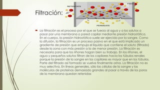 Filtración:
 La filtración es el proceso por el que se fuerza al agua y a los solutos a
pasar por una membrana o pared capilar mediante presión hidrostática.
En el cuerpo, la presión hidrostática suele ser ejercida por la sangre. Como
la difusión, la filtración es un proceso pasivo en el que está implicado un
gradiente de presión que empuja el líquido que contiene el soluto (filtrado)
desde la zona con más presión a la de menor presión. La filtración es
necesaria para que los riñones hagan bien su trabajo. En los riñones, el
agua y pequeños solutos filtran de los capilares hacia los túbulos renales
porque la presión de la sangre en los capilares es mayor que en los túbulos.
Parte del filtrado así formado se vuelve finalmente orina. La filtración no es
muy selectiva. En líneas generales, sólo las células de la sangre y las
moléculas de proteínas demasiado grandes al pasar a través de los poros
de la membrana quedan retenidas
 