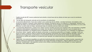 Transporte vesicular

Implica ayuda de ATP, mueve sustancias hacia dentro o hacia fuera de las células sin tener que cruzar la membrana
plasmática.
 Los dos tipos de transporte vesicular son la exocitosis y la endocitosis.
 La exocitosis (literalmente “fuera de la célula”) saca sustancias de las células . secretan hormonas, mucosidad y otros
productos celulares o expulsan ciertos deshechos celulares. El producto que se va a liberar se “empaqueta” primero en el
aparato de Golgi, en una pequeña vesícula o saco membranoso. El saco emigra a la membrana plasmática y se une a ella.
Entonces, la zona unida se rompe, derramando todo el contenido del saco fuera de la célula .
 La endocitosis (literalmente (“dentro de la célula”) incluye aquellos procesos que requieren ATP y que absorben o engullen
sustancias extracelulares metiéndolas en la célula. Una vez que se ha formado esa vesícula o saco, se separa de la
membrana plasmática y se desplaza hacia el citoplasma, donde se une con un lisosoma y sus contenidos son digeridos ).
 Pinocitosis: célula “engulle” gotitas de líquido extracelular. La membrana plasmática se invagina, o repliega, hasta que
forma un hoyito y entonces rodea la minúscula gota de líquido extracelular que contiene proteínas disueltas o grasas . A
diferencia de la fagocitosis, la pinocitosis es una actividad rutinaria de la mayoría de las células. Es especialmente
importante en células que trabajan en la absorción (por ejemplo, las células que forman el revestimiento del intestino
delgado).
 Fagocitosis, las sustancias engullidas son partículas bastante grandes como bacterias o células muertas, separadas del
entorno externo por extensiones citoplasmáticas que surgen llamadas seudópodos,). Algunos glóbulos blancos y otros
fagocitos “profesionales” del organismo actúan como células carroñeras policías que protegen el cuerpo ingiriendo
bacterias y otros restos extraños.
 