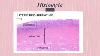 Histologia
 