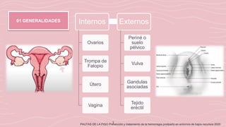 3
PAUTAS DE LA FIGO Prevención y tratamiento de la hemorragia postparto en entornos de bajos recursos 2020
01 GENERALIDADES Internos
Ovarios
Trompa de
Falopio
Útero
Vagina
Externos
Periné o
suelo
pélvico
Vulva
Gandulas
asociadas
Tejido
eréctil
 