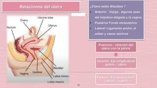31
Relaciones del útero ¿Cómo están Situados ?
• Anterior : Vejiga , algunas asas
del intestino delgado y la vagina
• Posterior Fondo rectouterino
• Lateral: Ligamento ancho, el
uréter y vasos uterinos
Posición : relación del
útero con la pelvis
Versión: Eje longitudinal
pelvis – útero
Flexión: Eje longitudinal
cuerpo – cuello
 