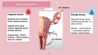 8
Vascularización
Art. Ovárica
Irrigación Arterial
Depende del suministro
de las arterias ováricas
Además de la rama
ovárica, depende de las
arterias uterinas
Anastomosis : Arteria
Ovárica + Rama tubarica
de la Art. Uterina
Drenaje Venoso
Depende de las venas
ováricas que forman un
plexo venoso
Medial → Vena Uterina
→ vena iliaca externa
Lateral : Vena ovarica
 