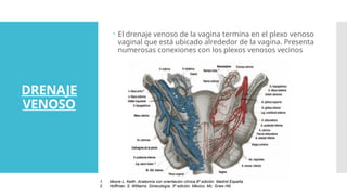 GINECOLOGIA, ANATOMIA DE UTERO Y VAGINA.pptx