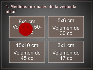 8x4 cm
Volumen 50-
60 cc
5x6 cm
Volumen de
30 cc
15x10 cm
Volumen de
45 cc
3x1 cm
Volumen de
17 cc
 