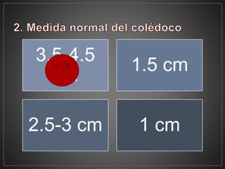 3.5-4.5
cm
1.5 cm
2.5-3 cm 1 cm
 