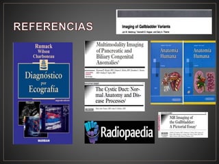 Anatomia de vesicula biliar y via biliar 