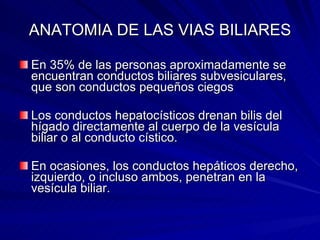 ANATOMIA DE LAS VIAS BILIARES En 35% de las personas aproximadamente se encuentran conductos biliares subvesiculares, que son conductos pequeños ciegos  Los conductos hepatocísticos drenan bilis del hígado directamente al cuerpo de la vesícula biliar o al conducto cístico. En ocasiones, los conductos hepáticos derecho, izquierdo, o incluso ambos, penetran en la vesícula biliar.  