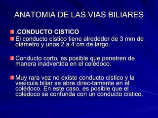 ANATOMIA DE LAS VIAS BILIARES . CONDUCTO CISTICO El conducto cístico tiene alrededor de 3 mm de diámetro y unos 2 a 4 cm de largo.  Conducto corto ,  es posible que penetren de manera inadvertida en el colédoco.  Muy rara vez no existe conducto cístico y la vesícula biliar se abre direc­tamente en el colédoco .  En este caso, es posible que el colédoco se confunda con un conducto cístico. 