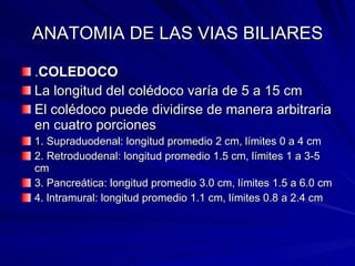 ANATOMIA DE LAS VIAS BILIARES . COLEDOCO La longitud del colédoco varía de 5 a 15 cm  El colédoco puede dividirse de manera arbitraria en cuatro porciones  1. Supraduodenal: longitud promedio 2 cm, límites 0 a 4 cm 2. Retroduodenal: longitud promedio 1.5 cm, límites 1 a 3-5 cm 3. Pancreática: longitud promedio 3.0 cm, límites 1.5 a 6.0 cm 4. lntramural: longitud promedio 1.1 cm, límites 0.8 a 2.4 cm 