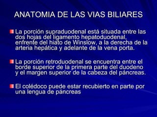 ANATOMIA DE LAS VIAS BILIARES La porción supraduodenal está situada entre las dos hojas del ligamento hepatoduodenal, enfrente del hiato de Winslow, a la derecha de la arteria hepática y adelante de la vena porta. La porción retroduodenal se encuentra entre el borde superior de la primera parte del duodeno y el margen superior de la cabeza del páncreas. El colédoco puede estar recubierto en parte por una lengua de páncreas 